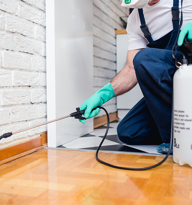 Pest Control Across Hatfield, Hertfordshire and North London